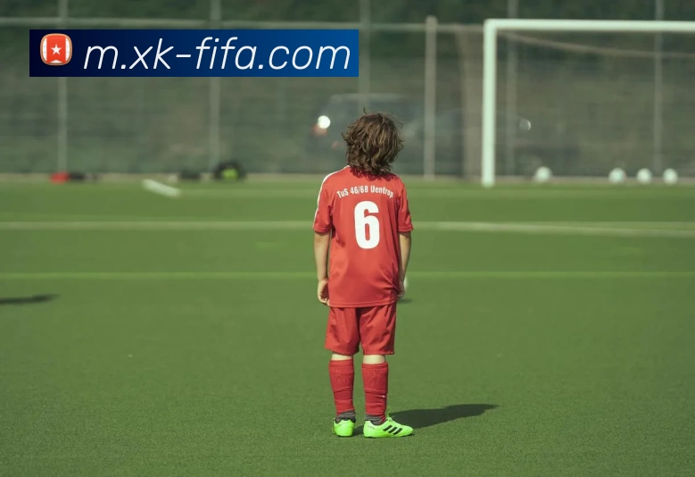 世界杯投注登录平台生态图