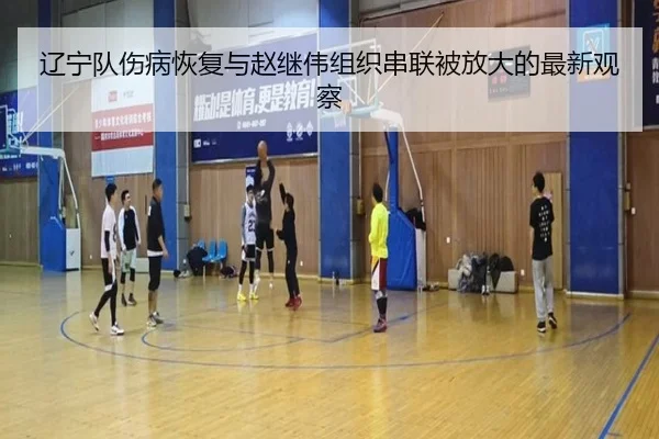 辽宁队伤病恢复与赵继伟组织串联被放大的最新观察